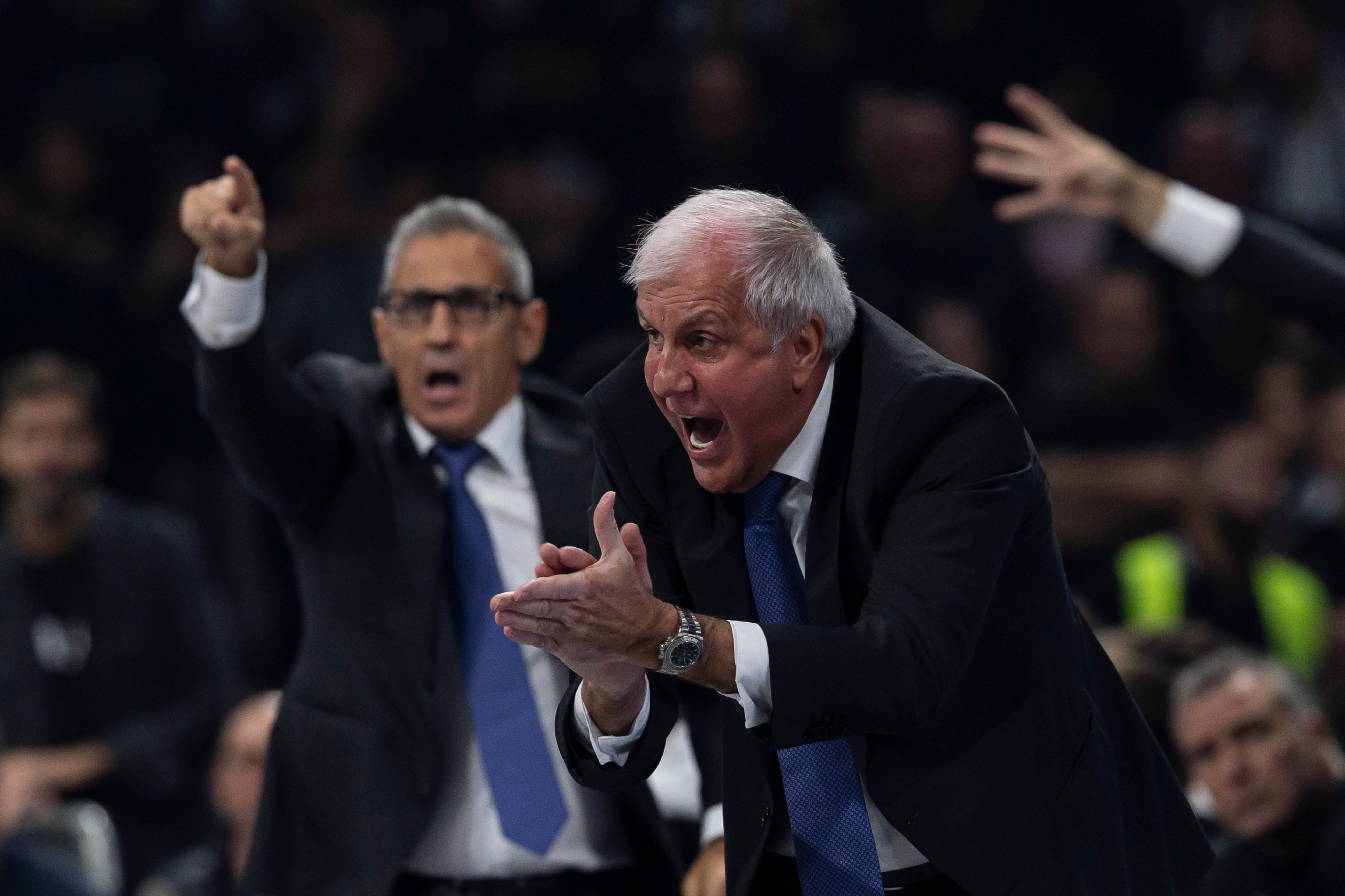 Zeljko Obradovic vuelve al Panathinaikos: “La historia continúa”